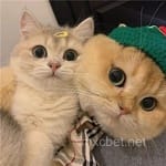 Avatar de Yadira Duarte